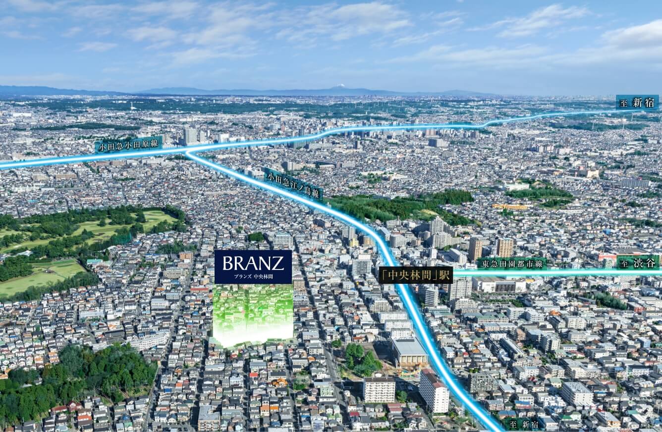 航空写真
