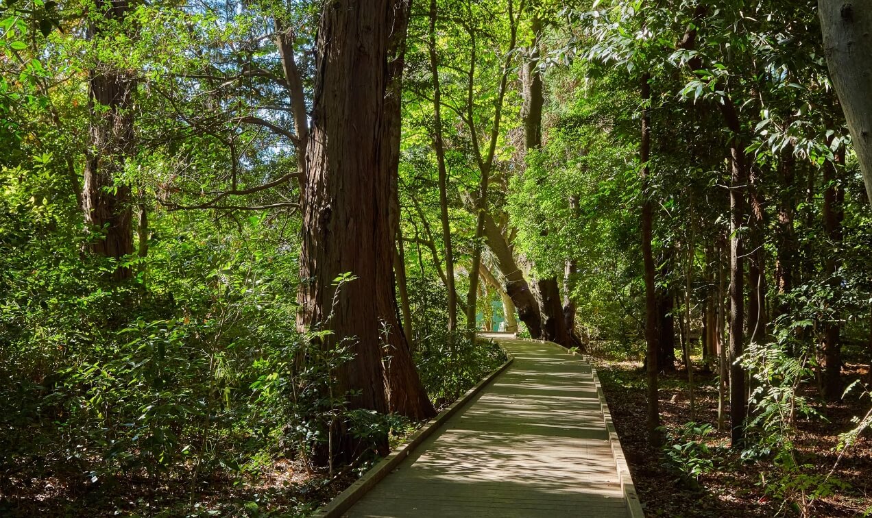 宇都宮記念公園みどりの森