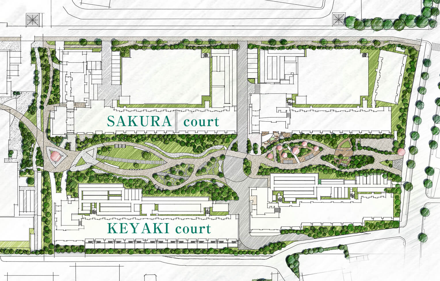 敷地配置イラスト