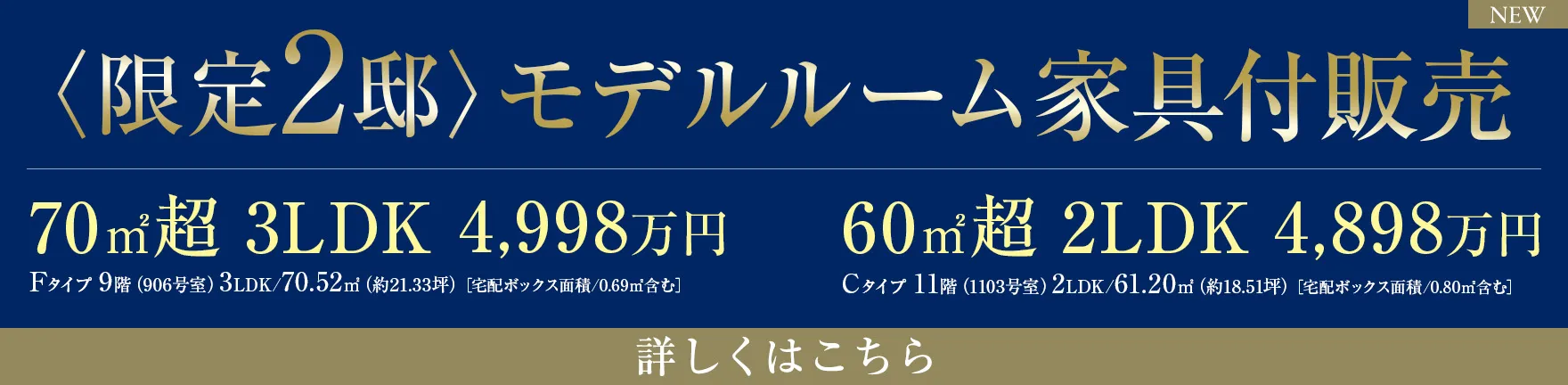 〈限定2邸〉モデルルーム家具付販売