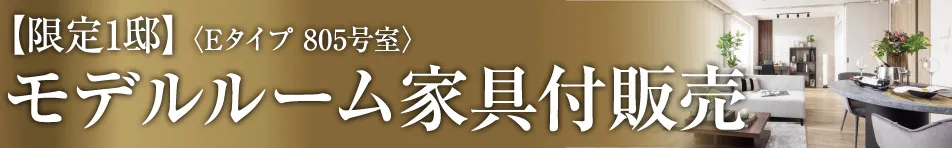 モデルルーム家具付販売