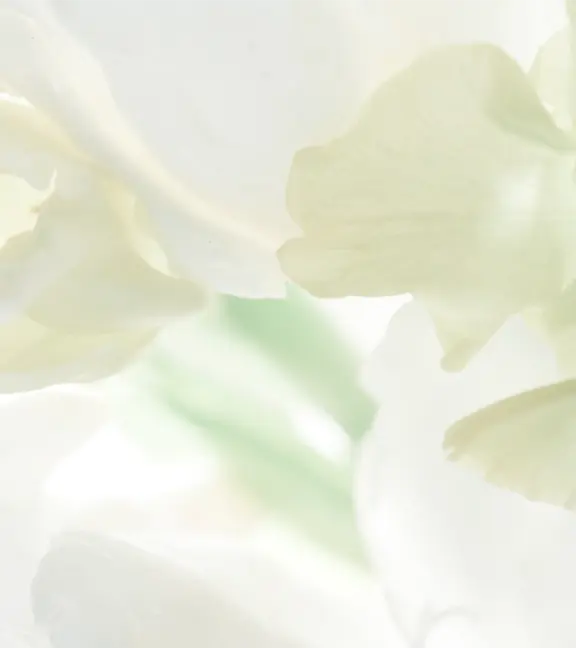 image photo
