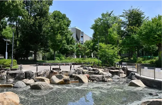 教育の森公園（徒歩9分／約720m）