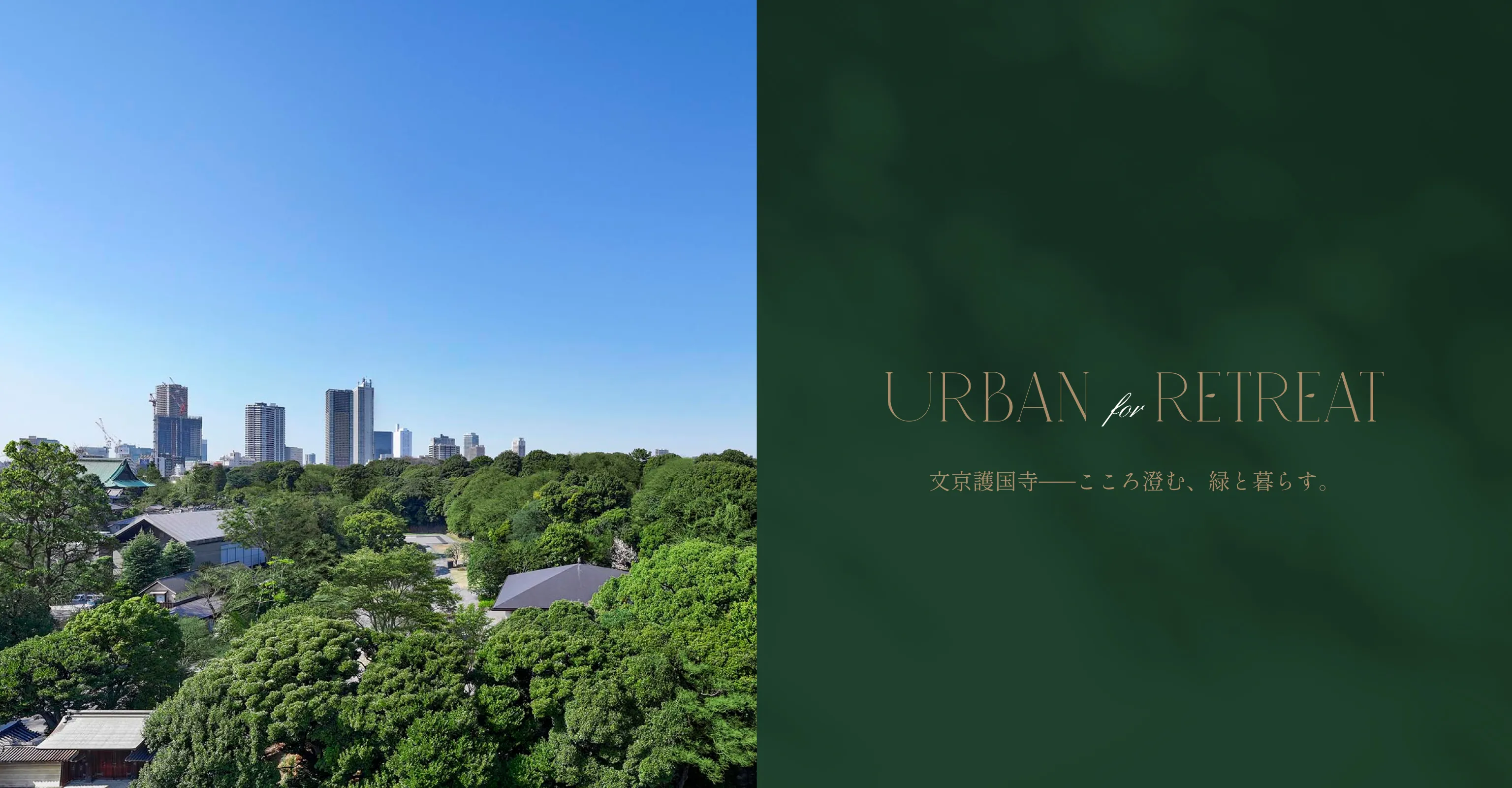 北側眺望写真（護国寺方面／10階相当）