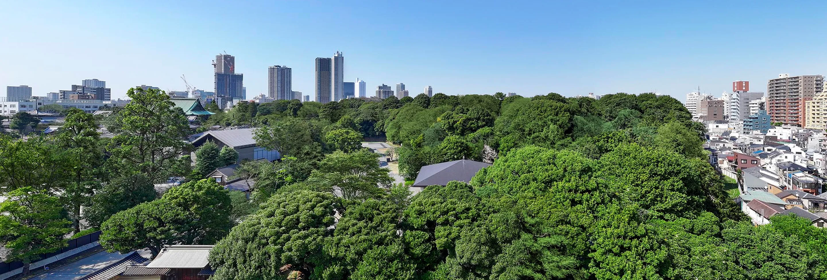 北側眺望写真（護国寺方面/10階相当）