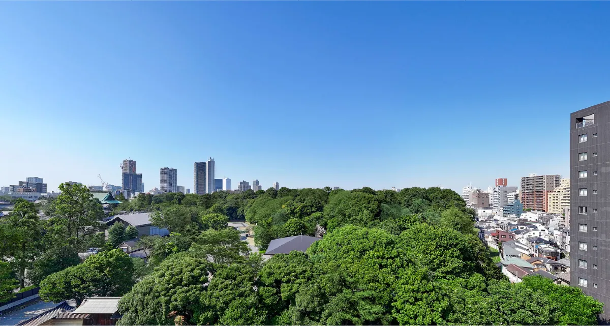 北側眺望写真（護国寺方面/10階相当）