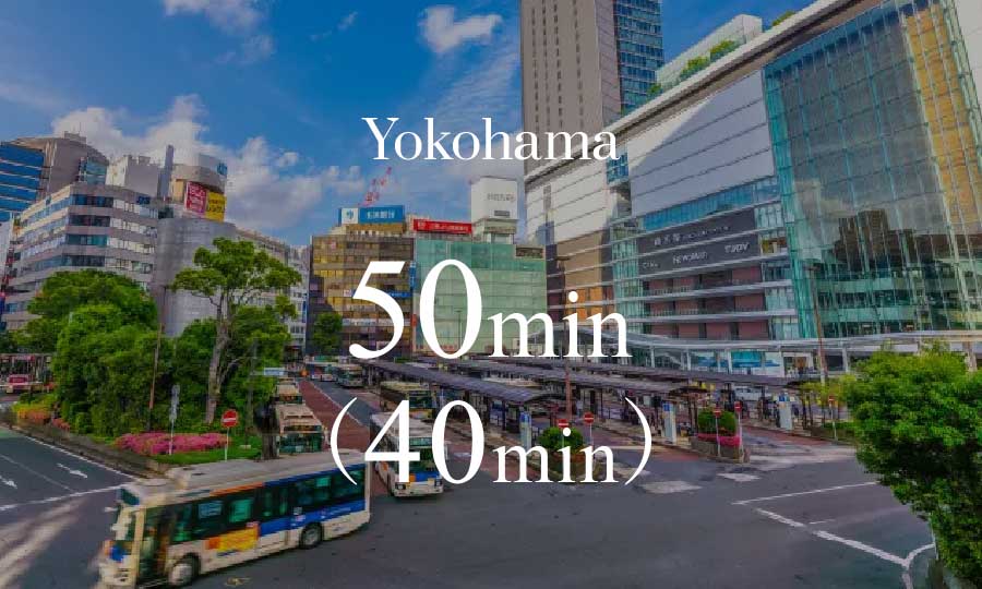Yokohama50min（40min）