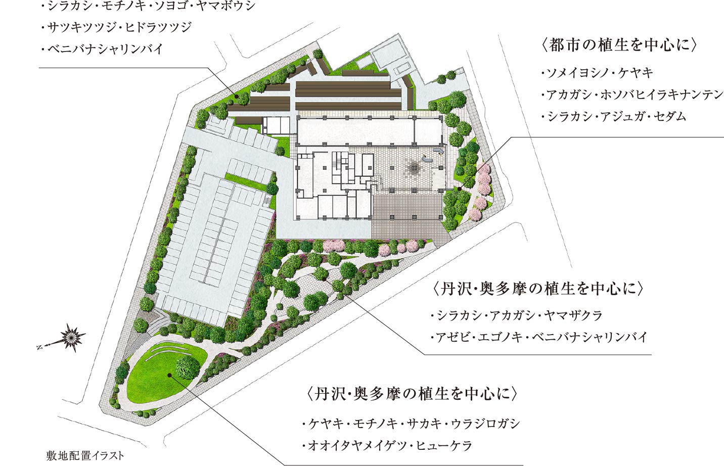 敷地配置イラスト