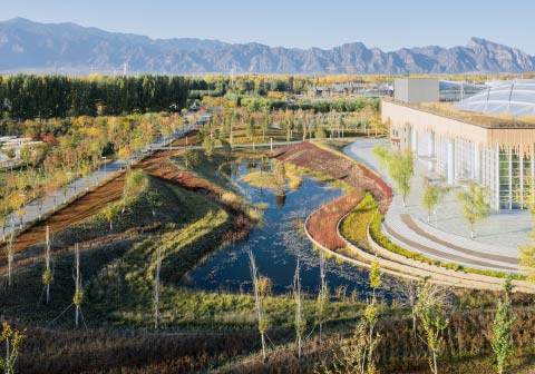 実績：Beijing Expo 2019 / 北京（提供写真）