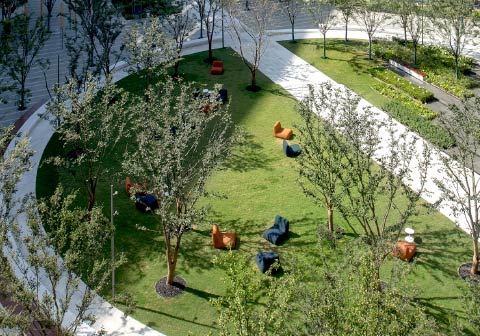 実績：Light of future / 杭州（提供写真）