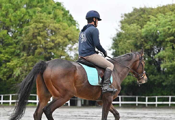 アスール乗馬クラブ