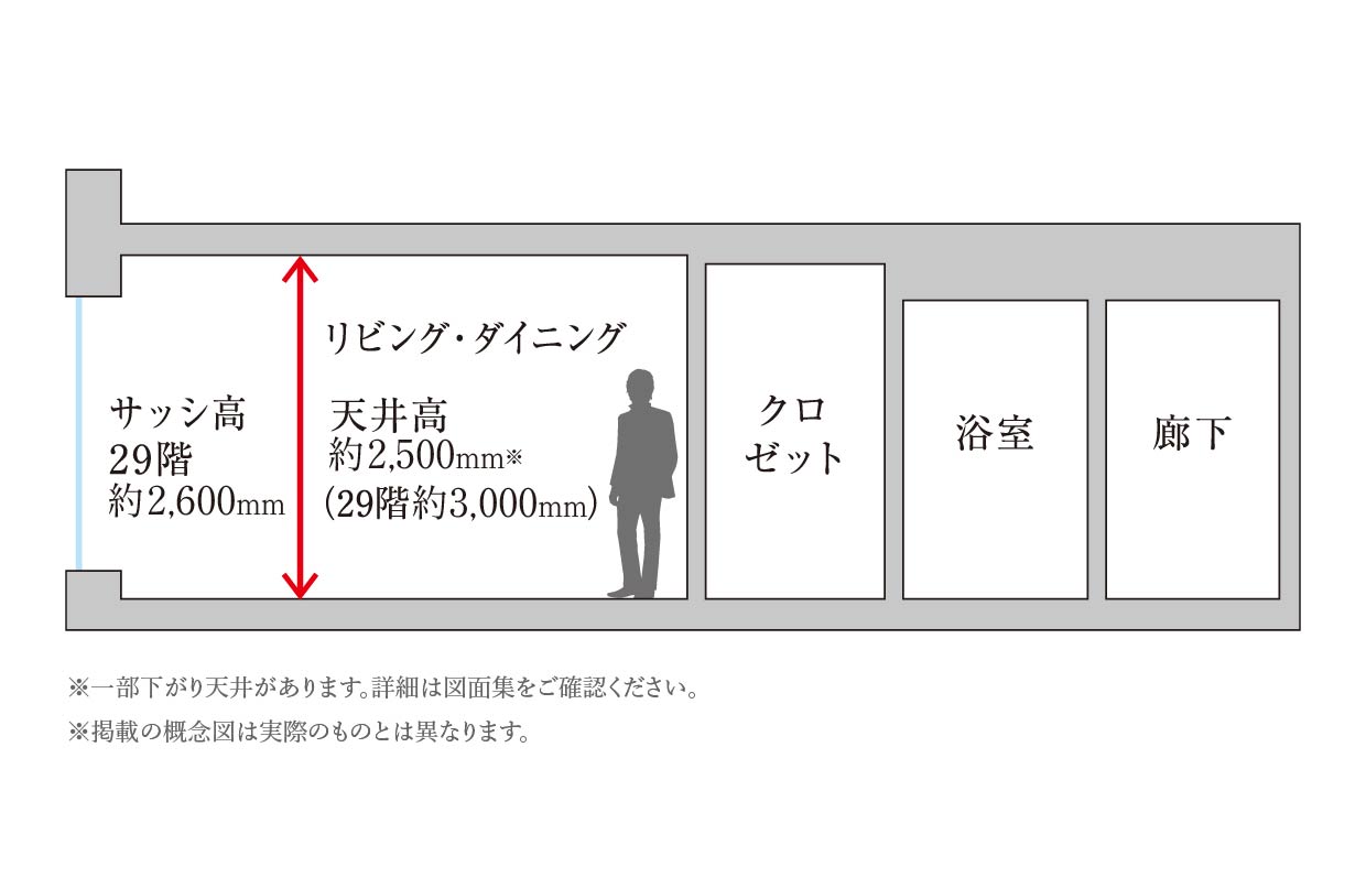 天井高の概念図