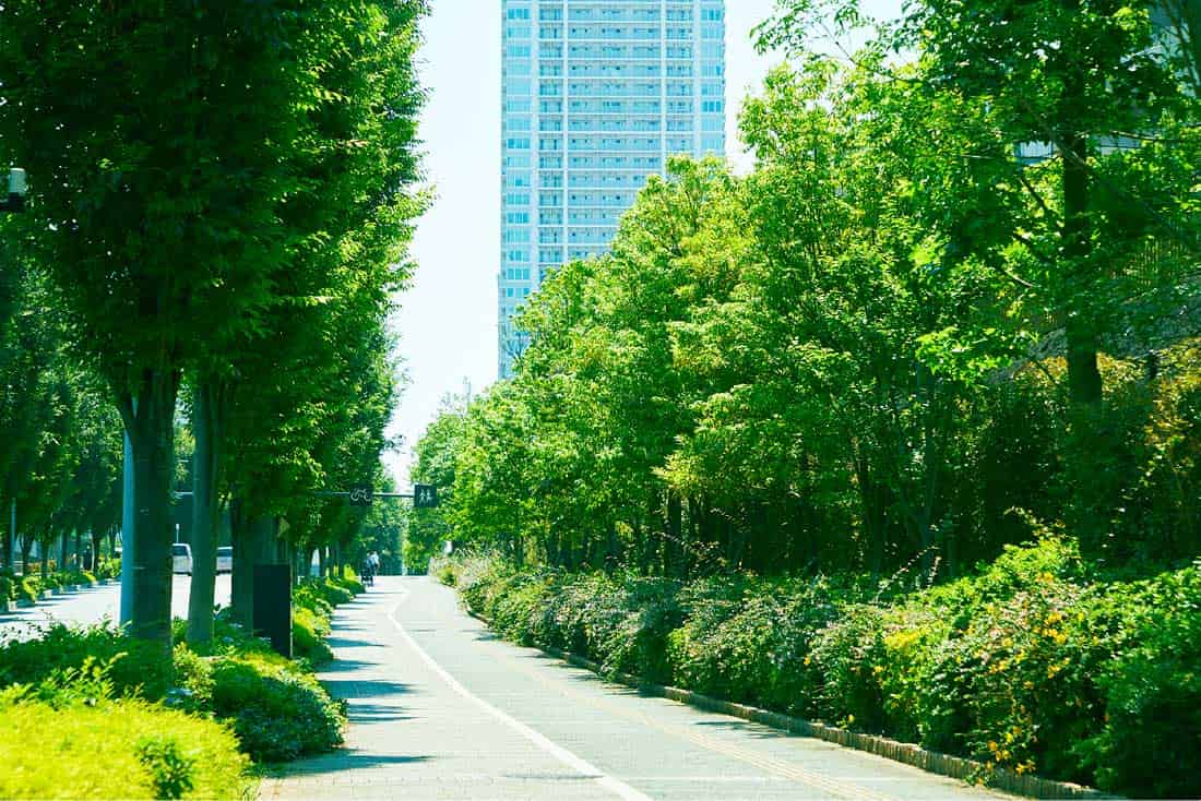 物件周辺街並み(徒歩2分/約150m)