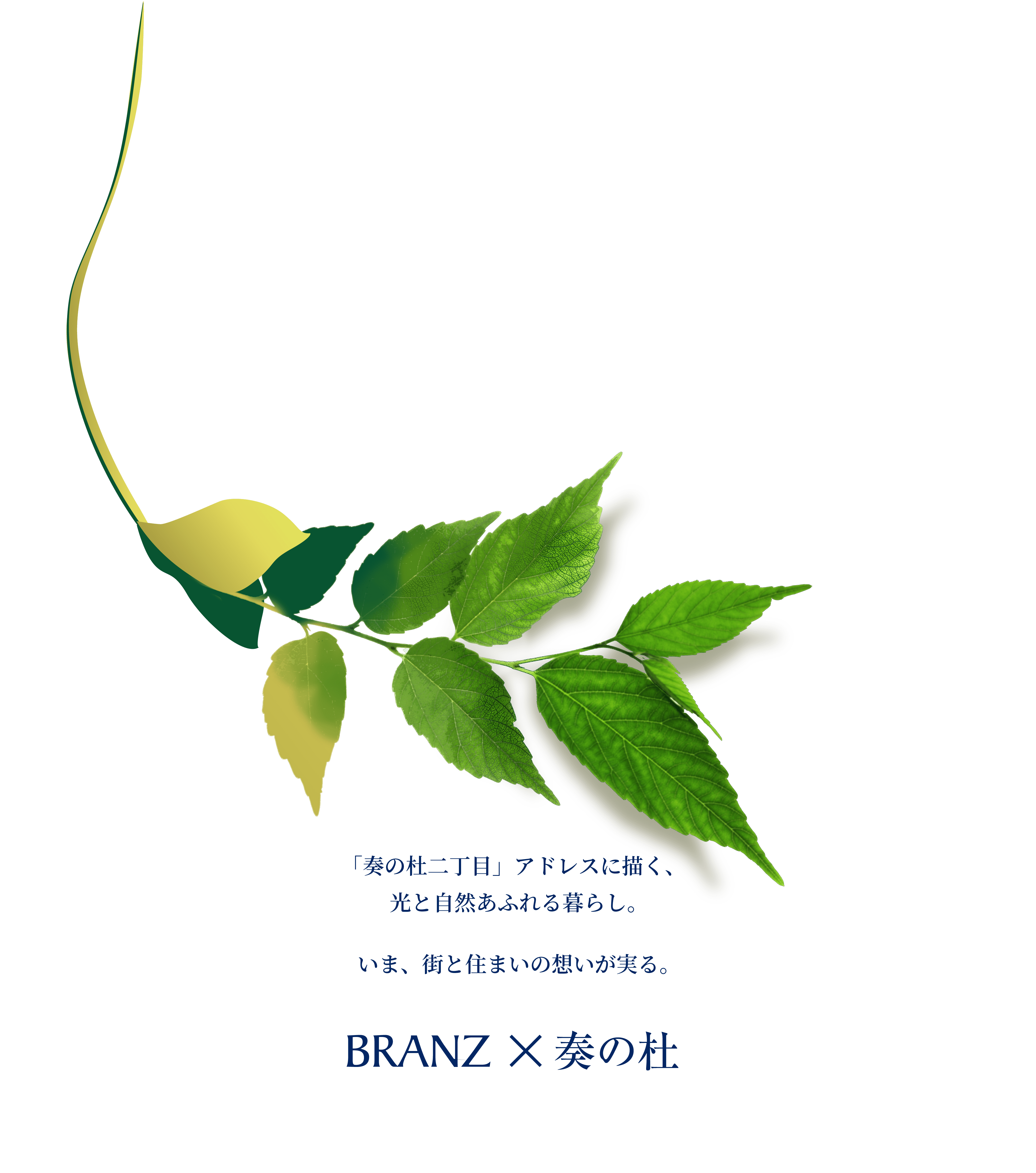 「奏の杜二丁目」アドレスに描く、光と自然あふれる暮らし。いま、街と住まいの想いが実る。