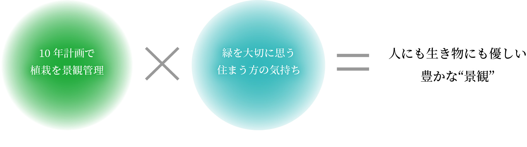 10年計画で植栽を景観管理×緑を大切に思う住まう方の気持ち=人にも生き物にも優しい豊かな“景観”