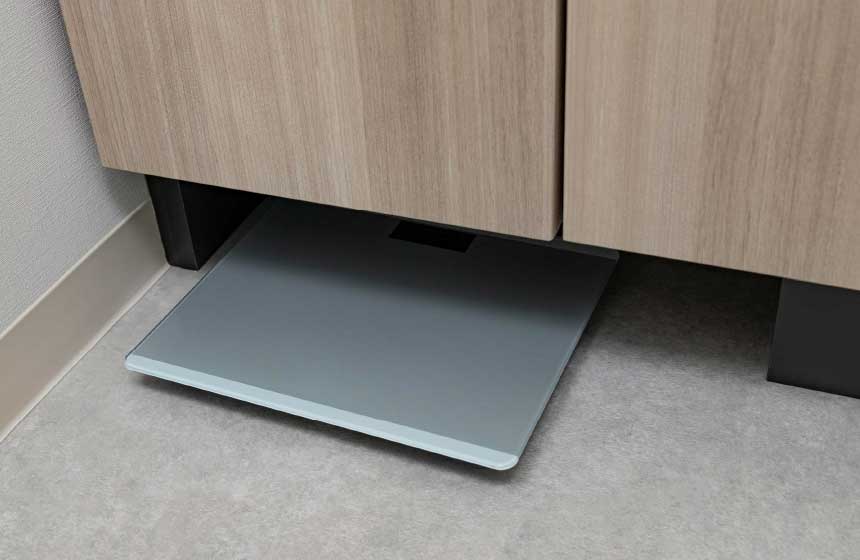 ヘルスメーター収納