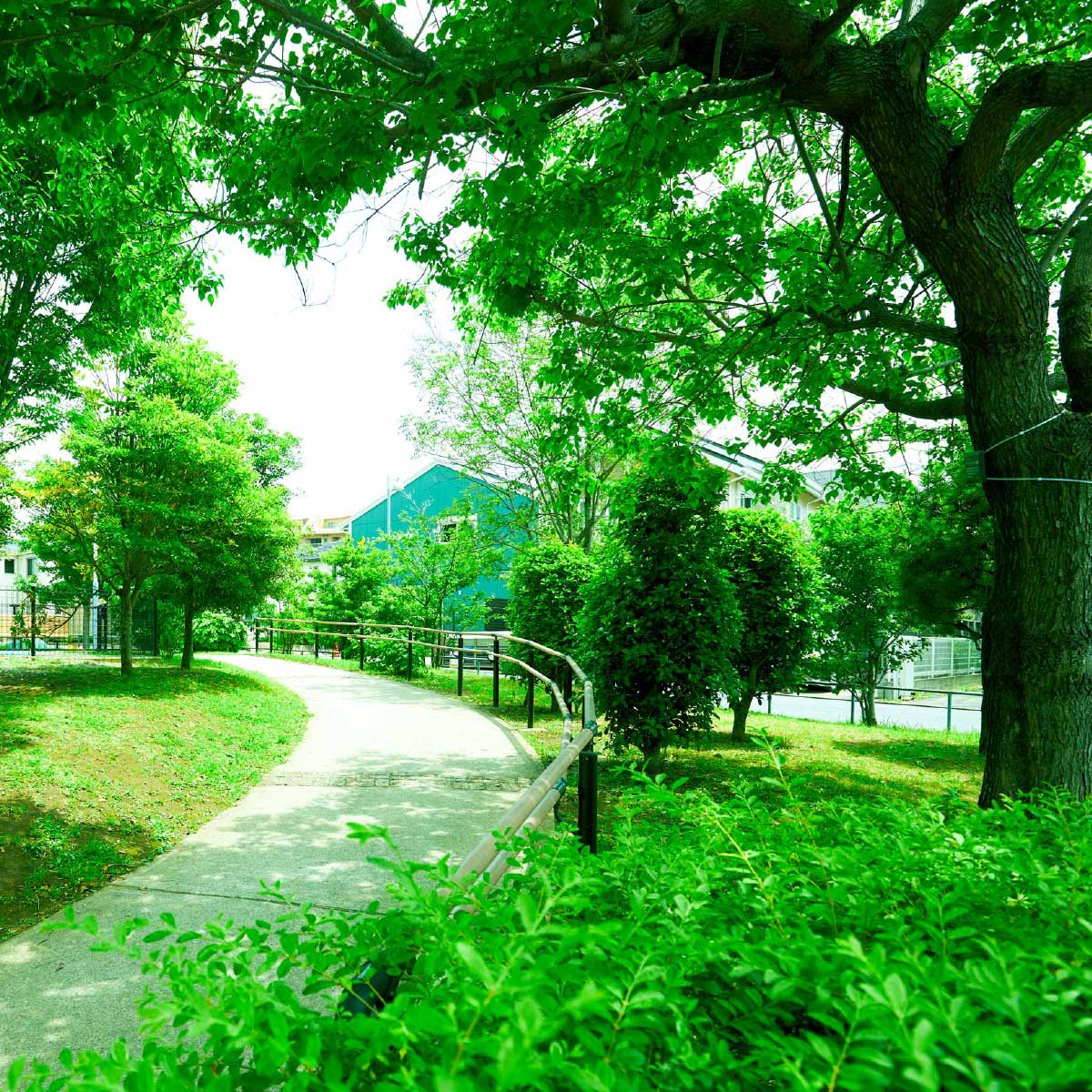 こうやまき公園［ラビット公園］