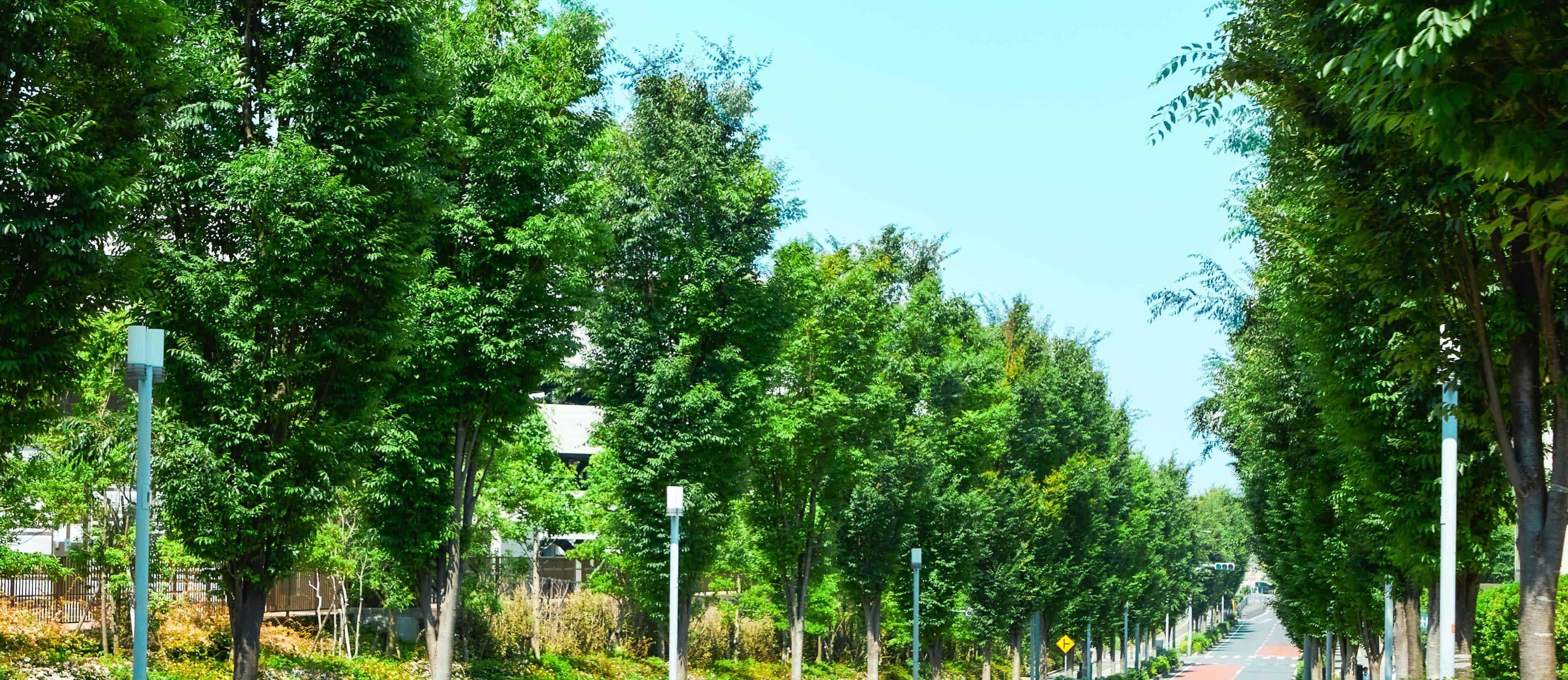 物件周辺街並み(徒歩4分/約300m)