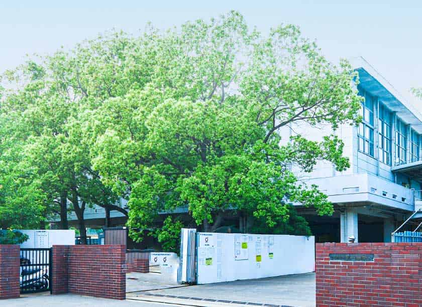 第一中学校