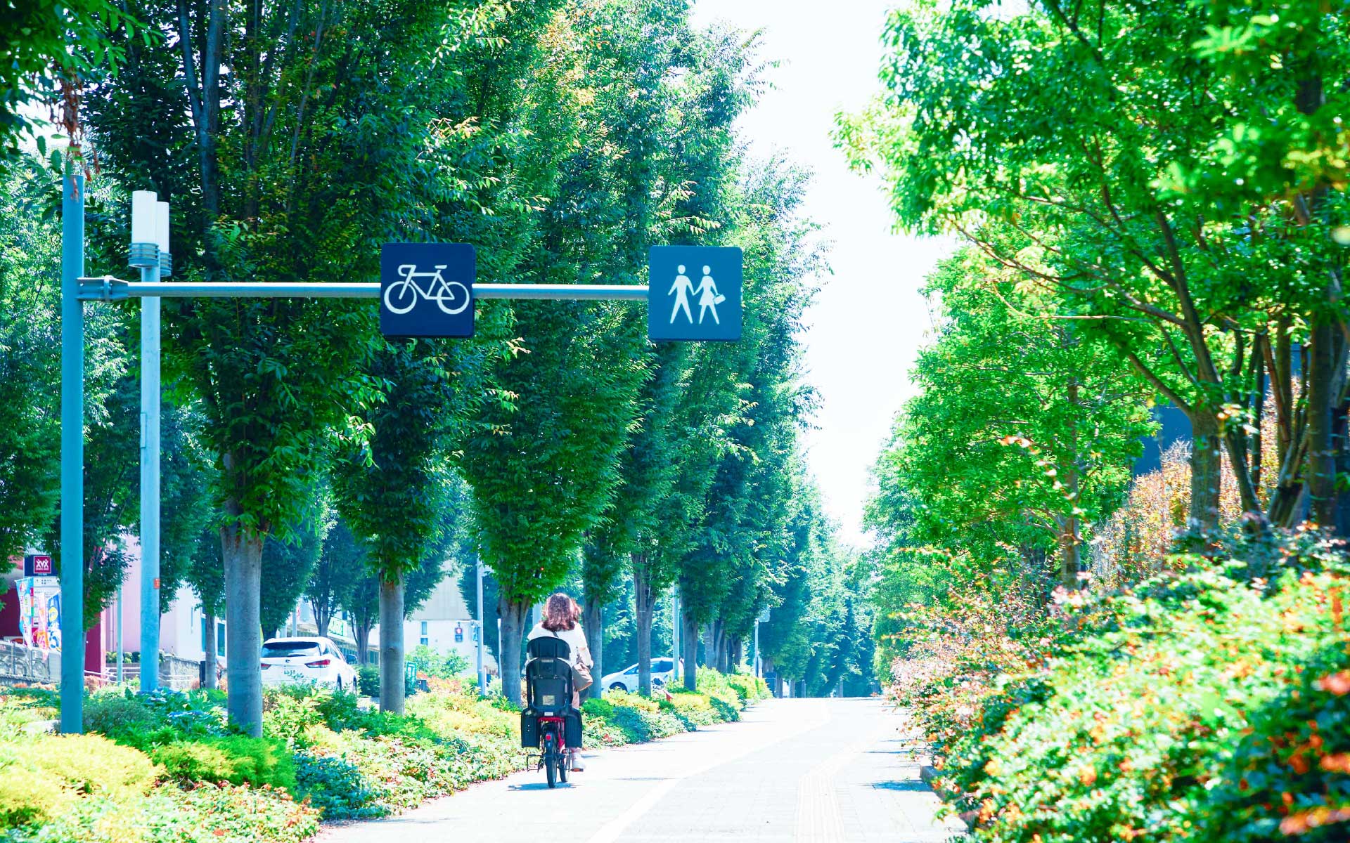 現地周辺の街並み(徒歩3分/約180m、2024年6月撮影)