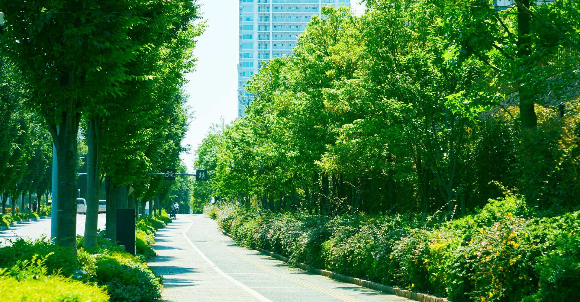 現地周辺の街並み(徒歩4分/約270m、2024年6月撮影)