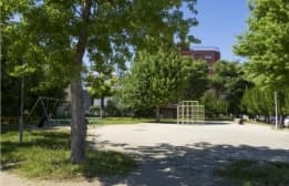 image photo