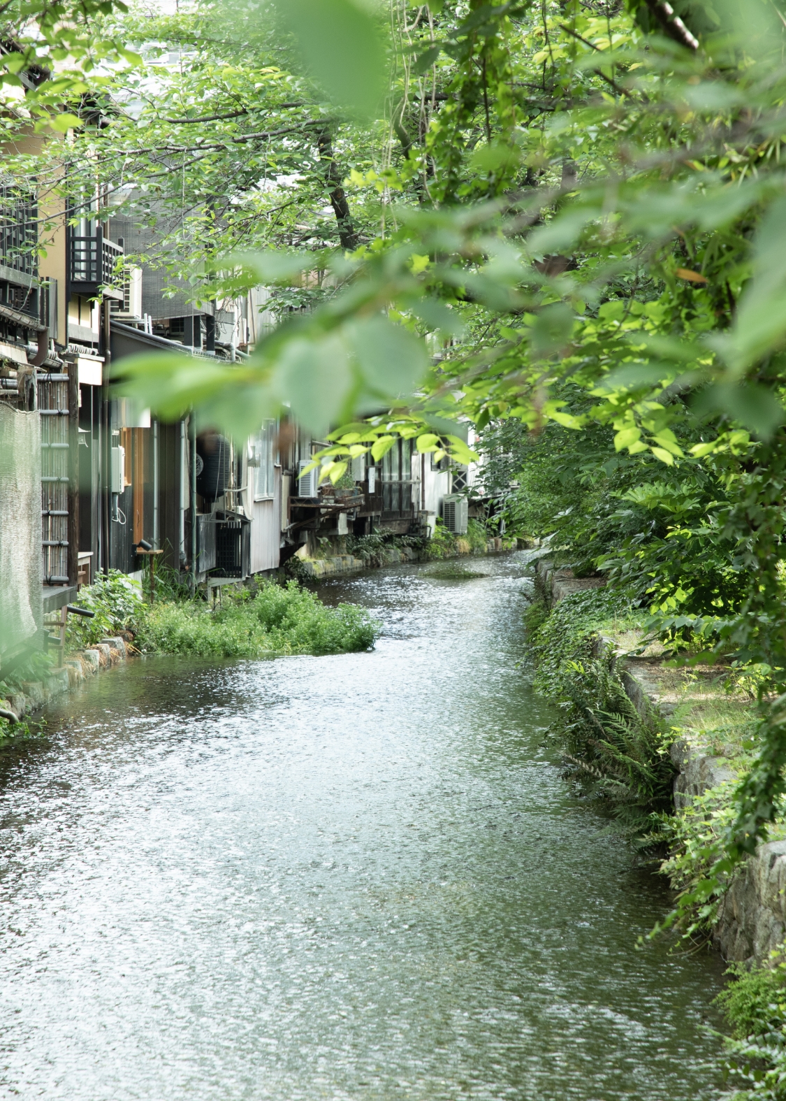 高瀬川(徒歩2分/約120m)
