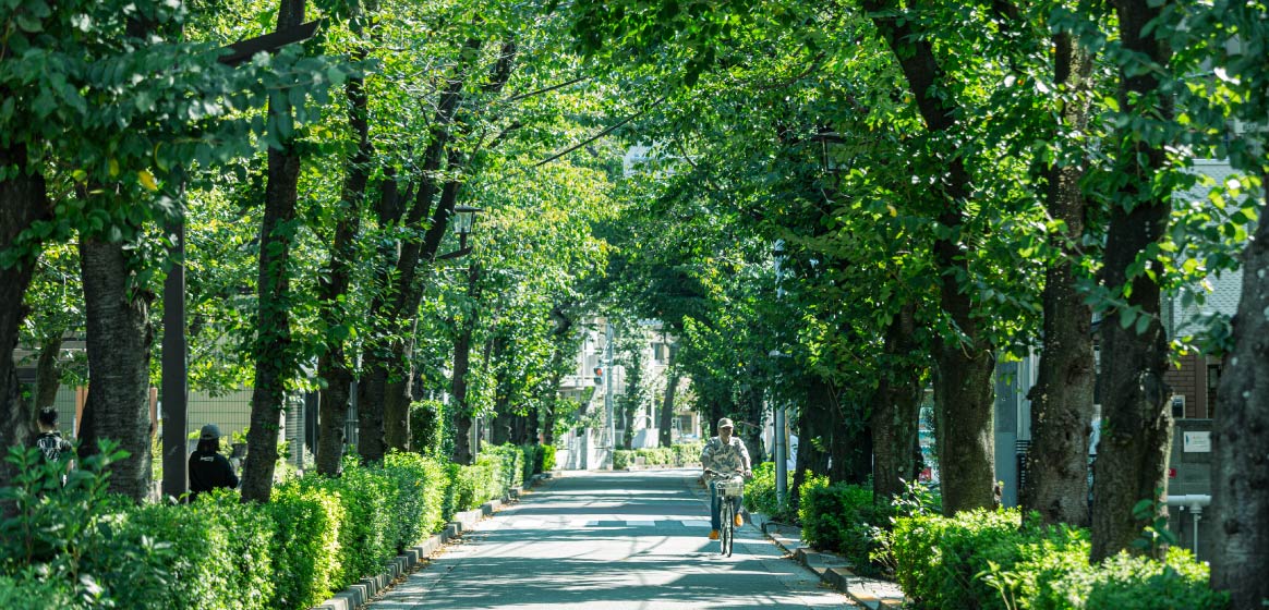 立会道路