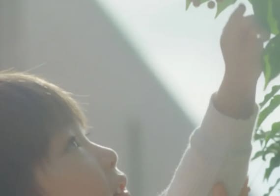 葉をさわる子供