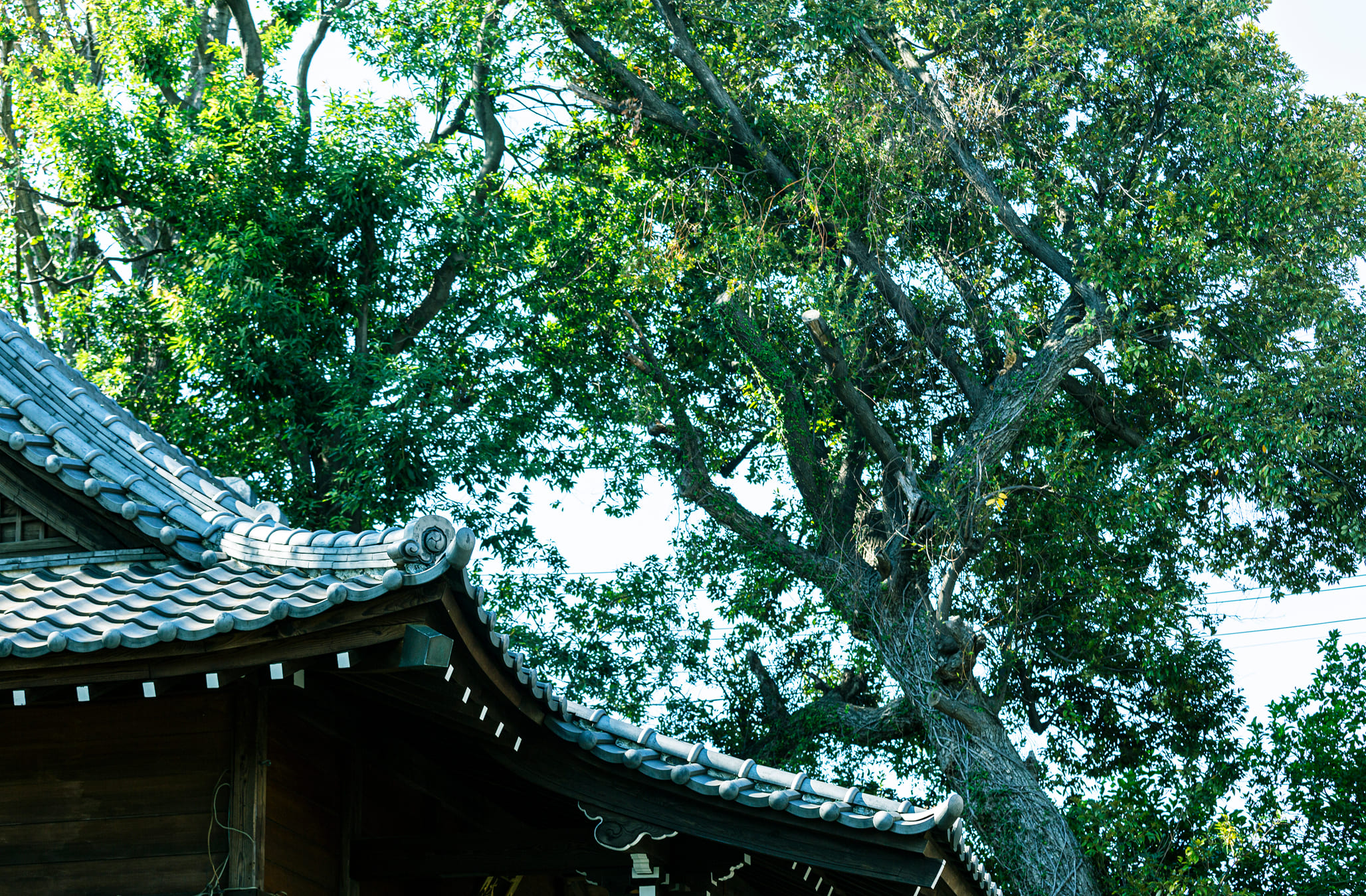 小山八幡神社