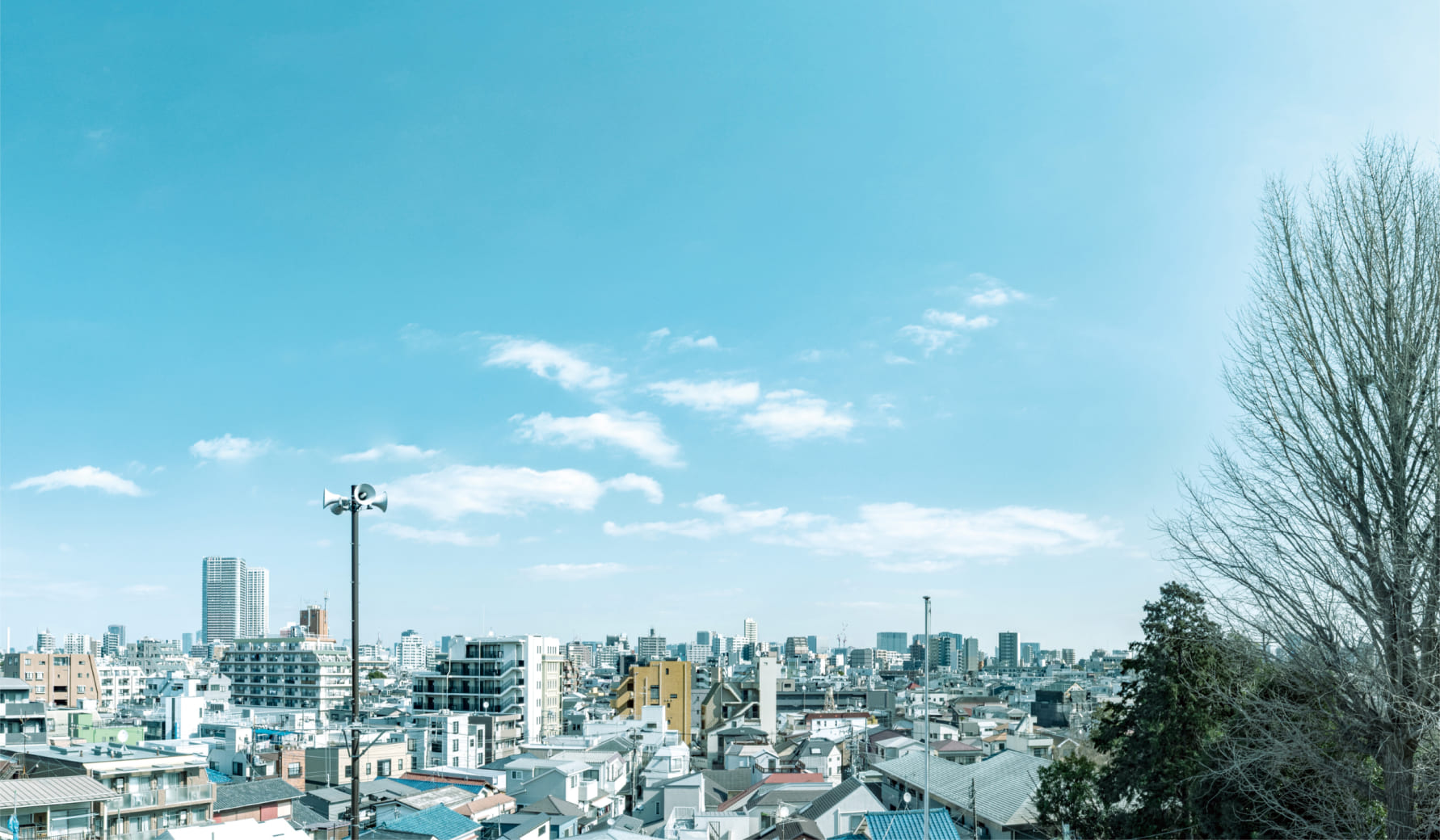 現地3階相当の高さからの眺望