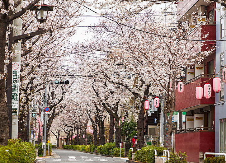 立会道路