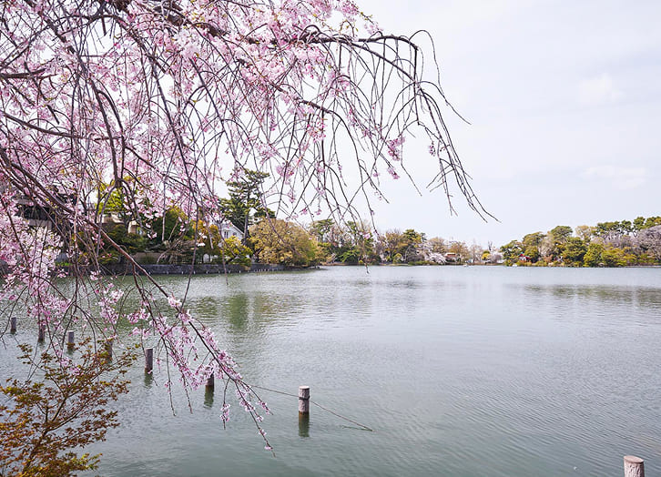 洗足池公園