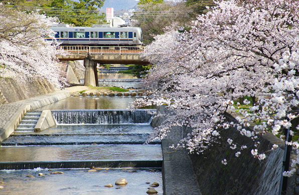 夙川河川敷緑地（約1,670m）