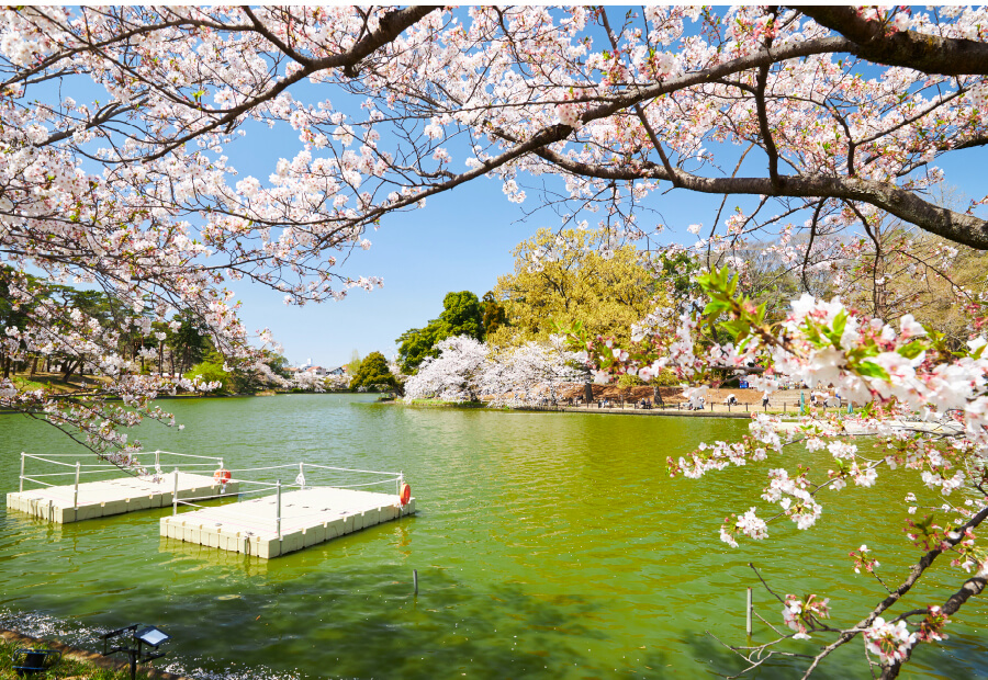 大宮公園