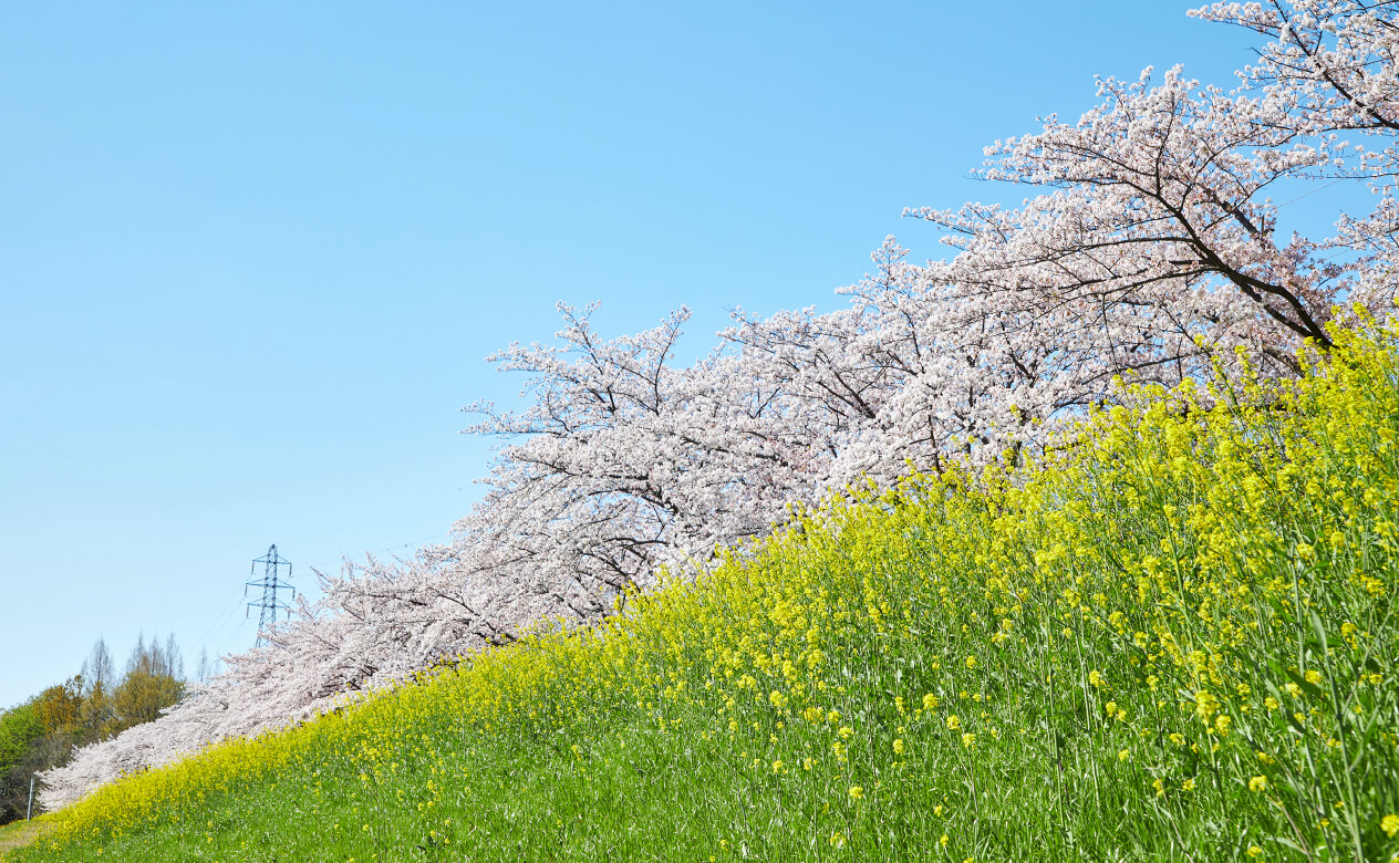 三橋総合公園（南側エントランス：徒歩31分／約2,470m）