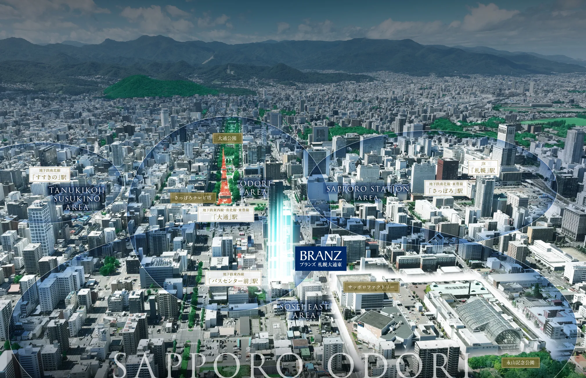 現地周辺の航空写真