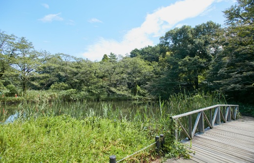 国立科学博物館附属自然教育園（徒歩24分）
