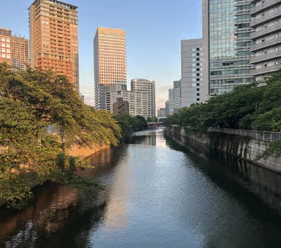 山本橋から目黒川を望む（徒歩2分）