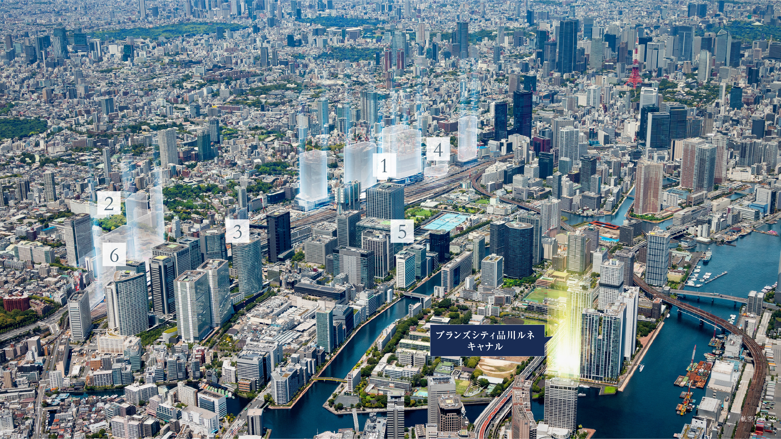 航空写真