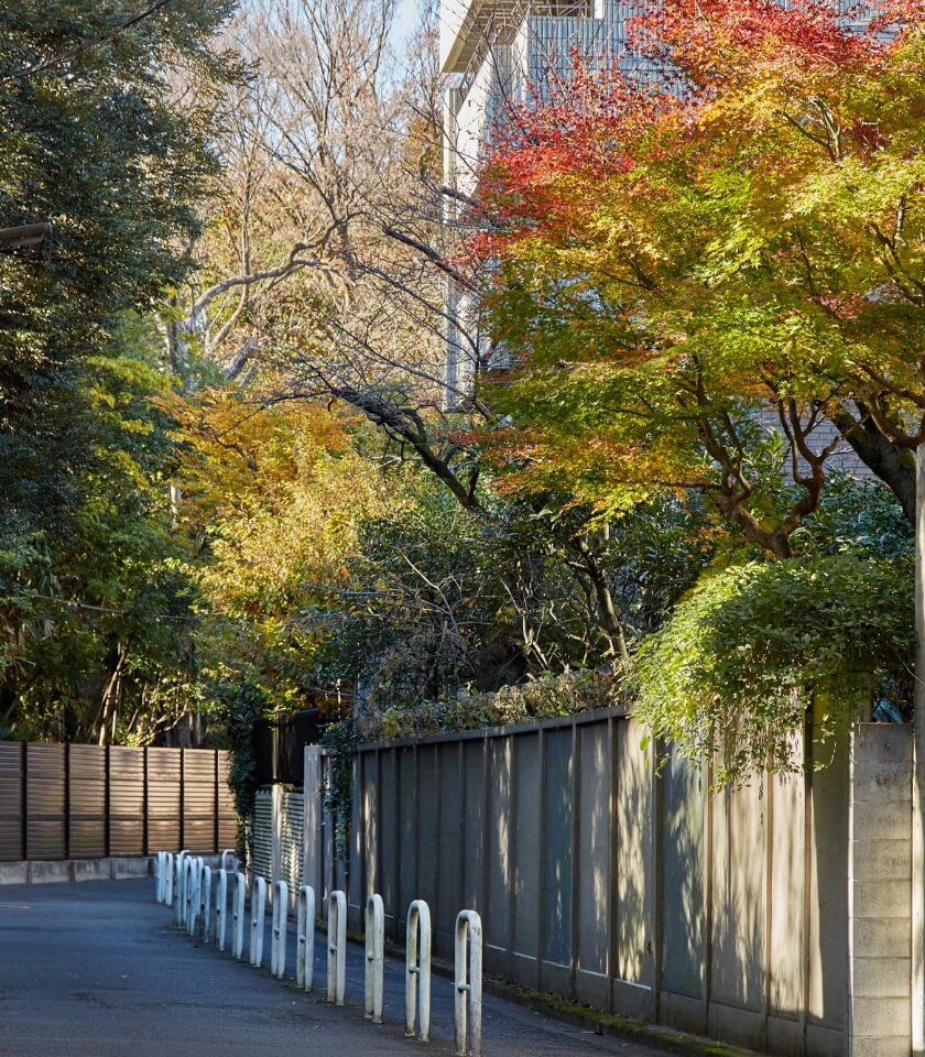 現地周辺の街並(徒歩3分／約240m)