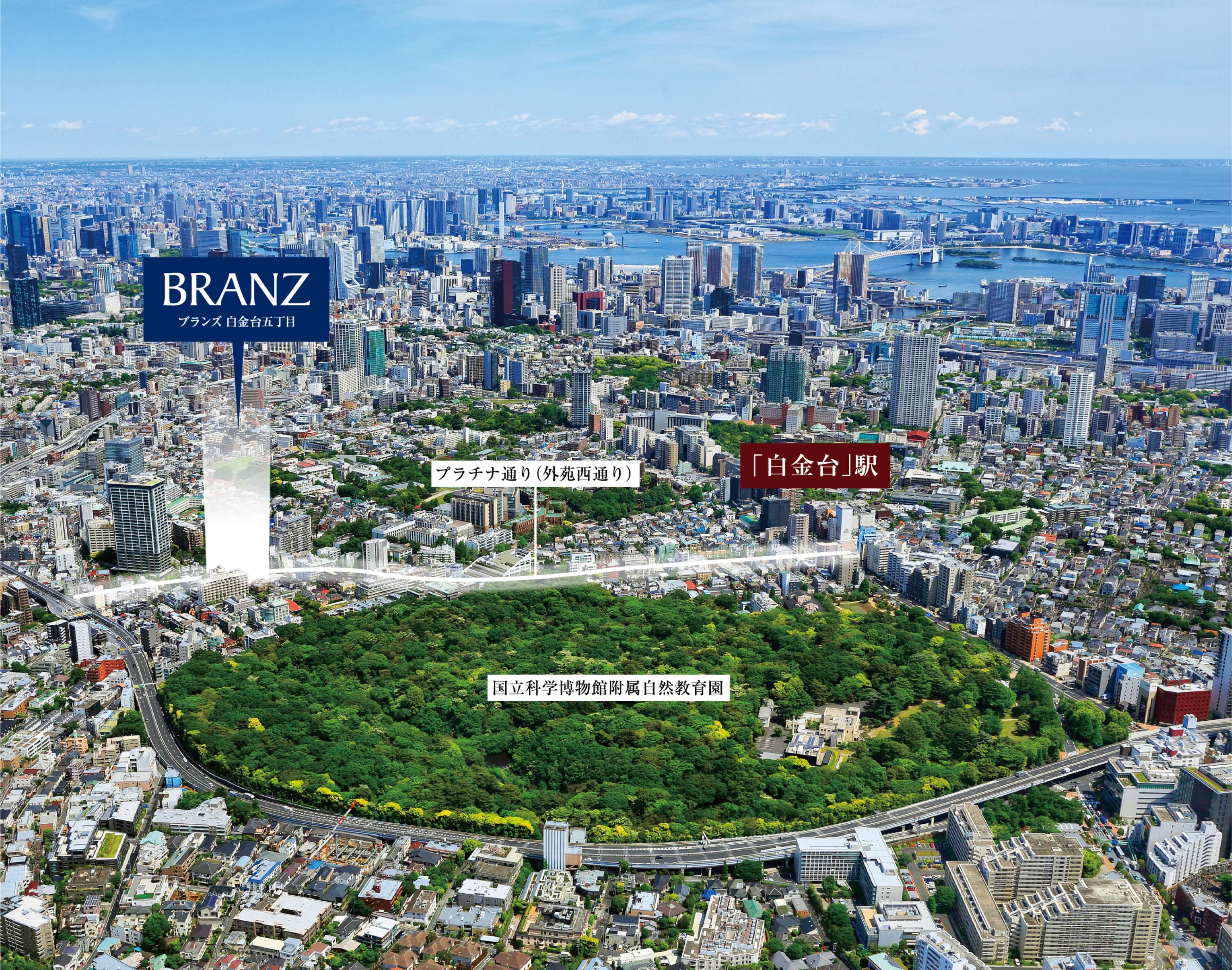 航空写真（「国立科学博物館附属自然教育園」提供画像）