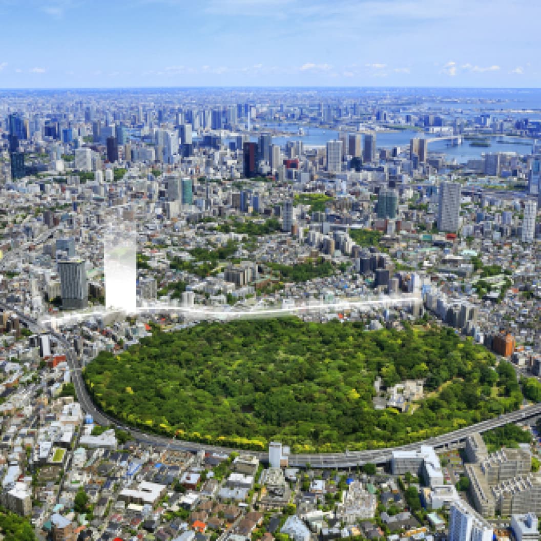 航空写真（「国立科学博物館附属自然教育園」提供画像）