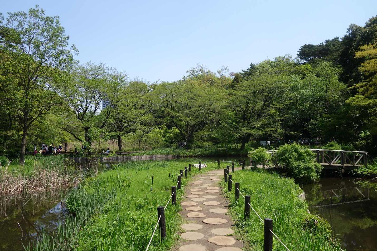 国立科学博物館附属自然教育園（約840m／徒歩11分）