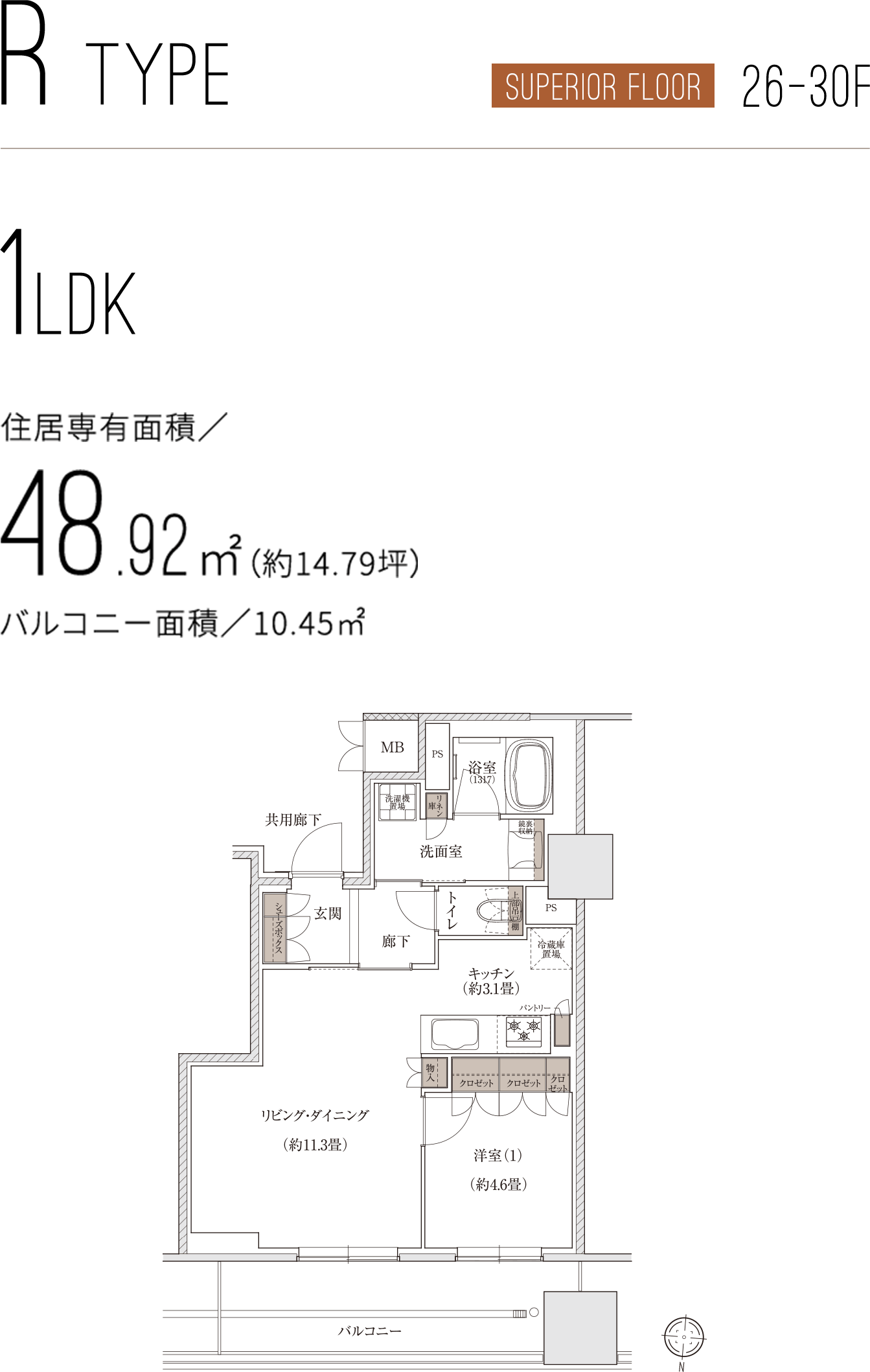 R TYPE