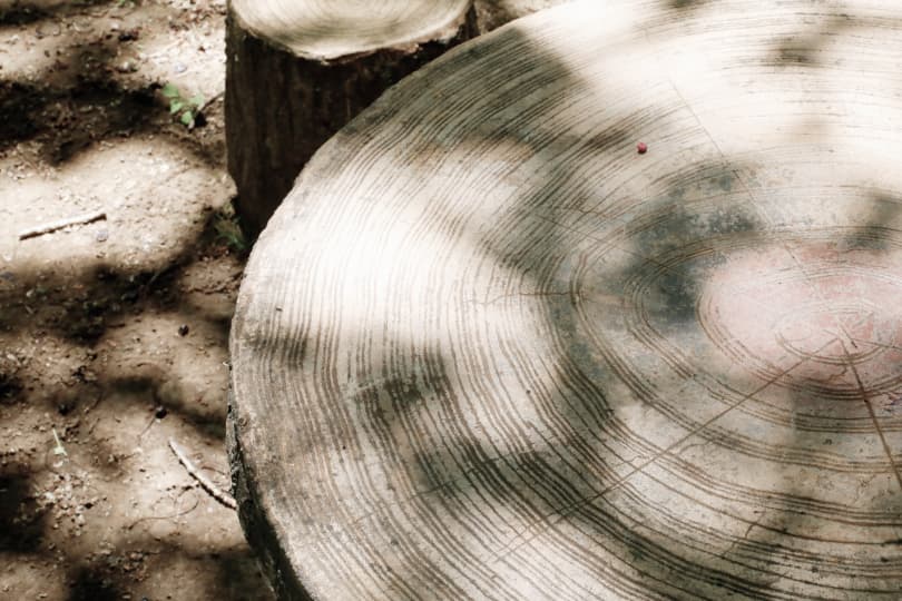 円山公園(徒歩6分/約450m)