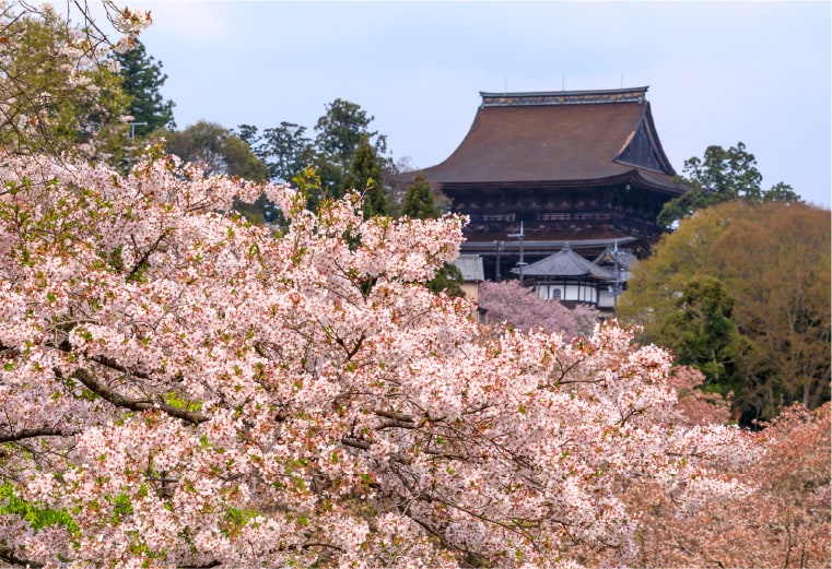 金峯山寺