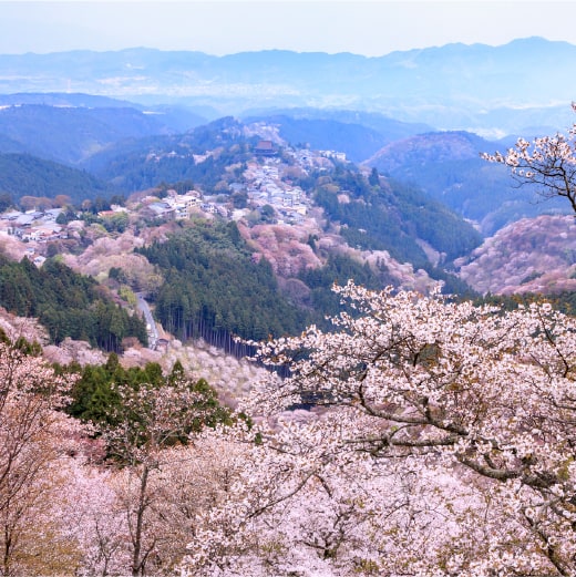 吉野山