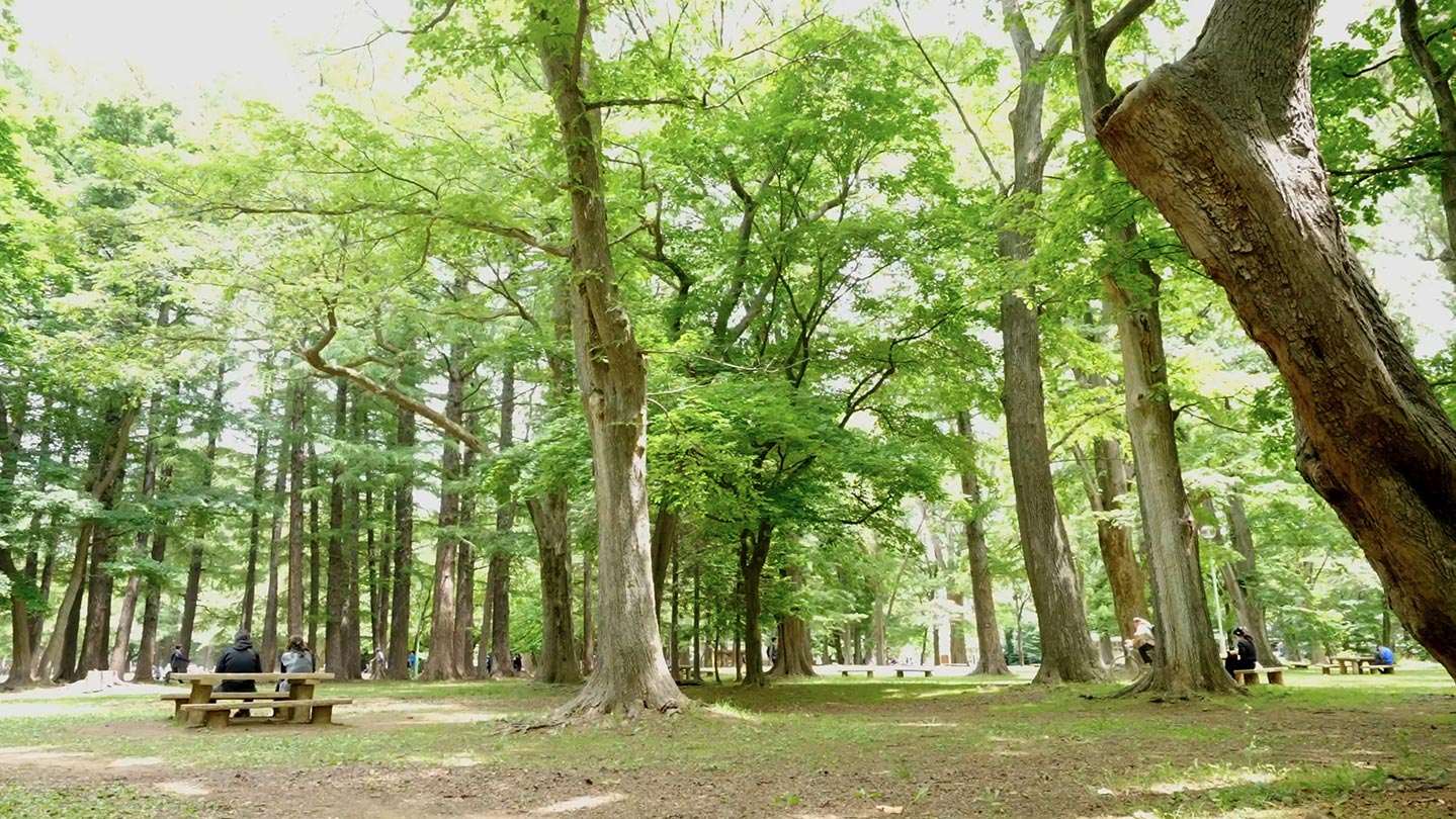 札幌の暮らし 円山公園・北海道神宮編